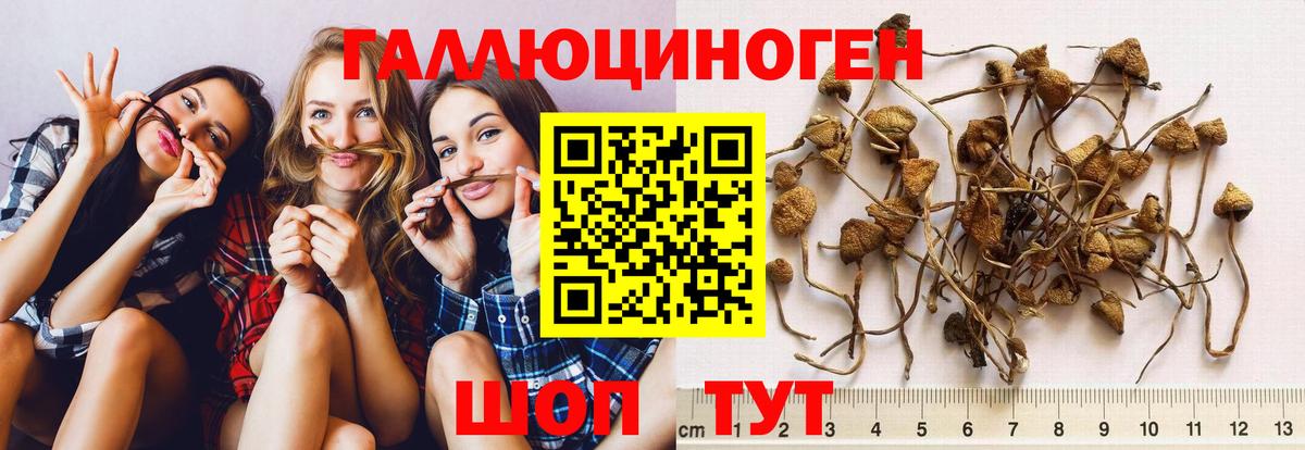 Псилоцибиновые грибы Psilocybe  Галлюциногенные грибы ЛСД  Вход с VPN  Ачхой-Мартан 