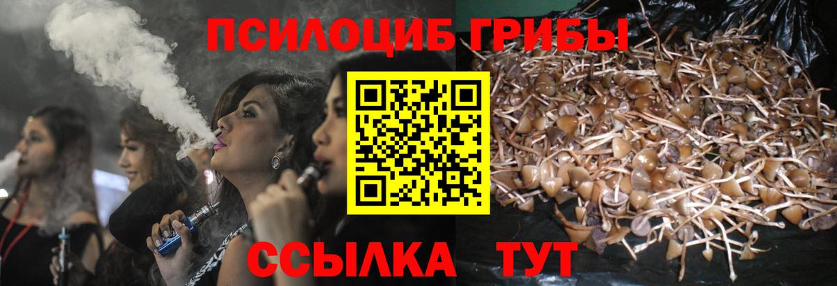 Галлюциногенные грибы ЛСД Ачхой-Мартан